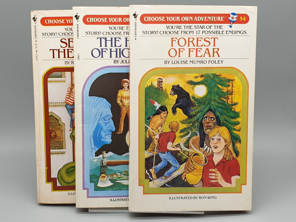 Time to Choose Your Own Adventure Books